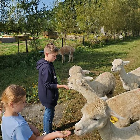 Dartmoor Reach Alpaca Farm Heated Cabins 5 Mins Drive To Dartmoor Bovey Tracey Exterior foto