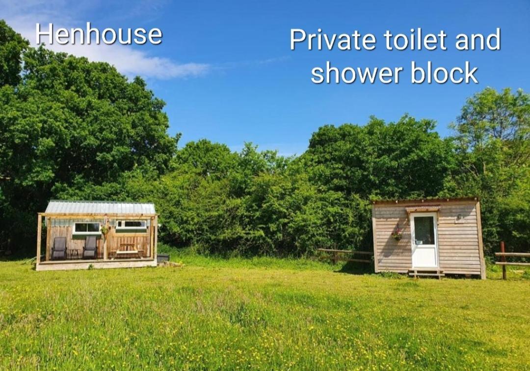 Dartmoor Reach Alpaca Farm Heated Cabins 5 Mins Drive To Dartmoor Bovey Tracey Habitación foto